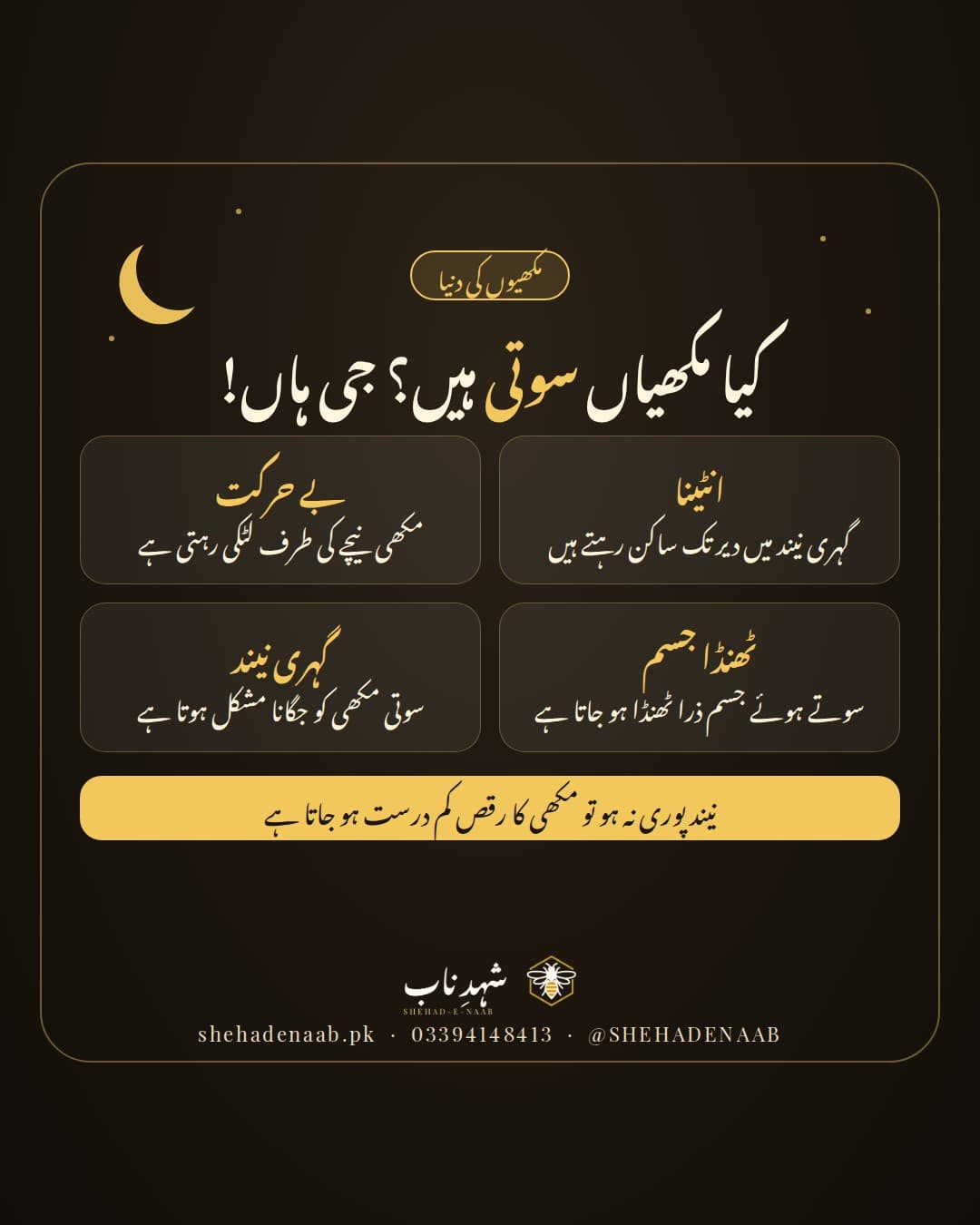 گہرے سیاہی مائل پس منظر پر چاند اور عنوان «کیا مکھیاں سوتی ہیں؟ جی ہاں!»، چار خانوں میں سوتی مکھی کی نشانیاں (ساکن انٹینا، بے حرکت لٹکنا، ٹھنڈا جسم، جگانا مشکل)، اور سنہری پٹی پر لکھا ہے کہ نیند پوری نہ ہو تو مکھی کا رقص کم درست ہو جاتا ہے۔
