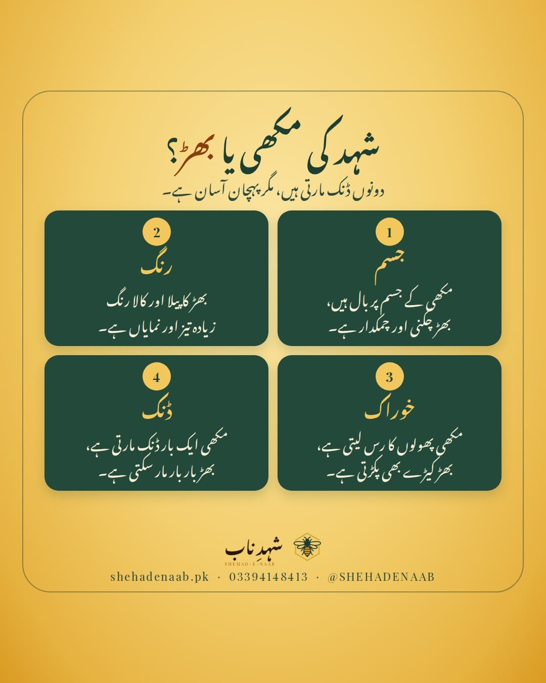 سنہرے پس منظر پر عنوان «شہد کی مکھی یا بھڑ؟» اور چار سبز کارڈ: جسم پر بال یا چکنا جسم، بھڑ کا تیز پیلا کالا رنگ، مکھی پھولوں کا رس لیتی ہے اور بھڑ کیڑے بھی پکڑتی ہے، مکھی ایک بار اور بھڑ بار بار ڈنک مار سکتی ہے۔