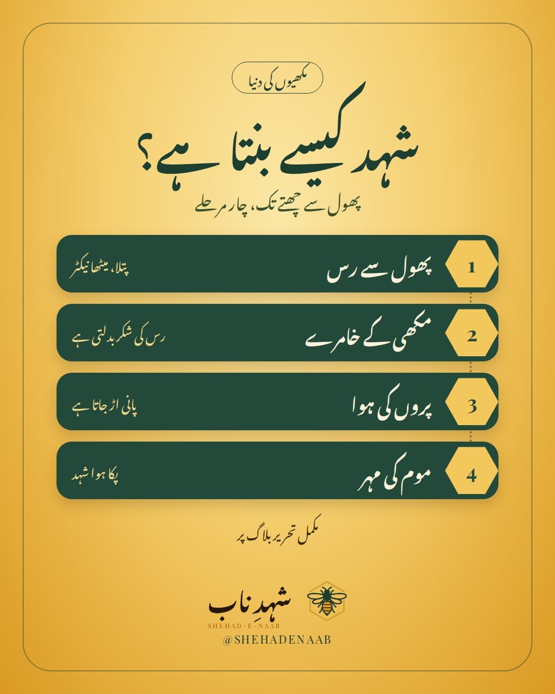 شہد کی مکھی شہد کیسے بناتی ہے: پھول سے رس، مکھی کے خامرے، پروں کی ہوا سے پانی سکھانا اور موم کی مہر، چار مرحلوں میں