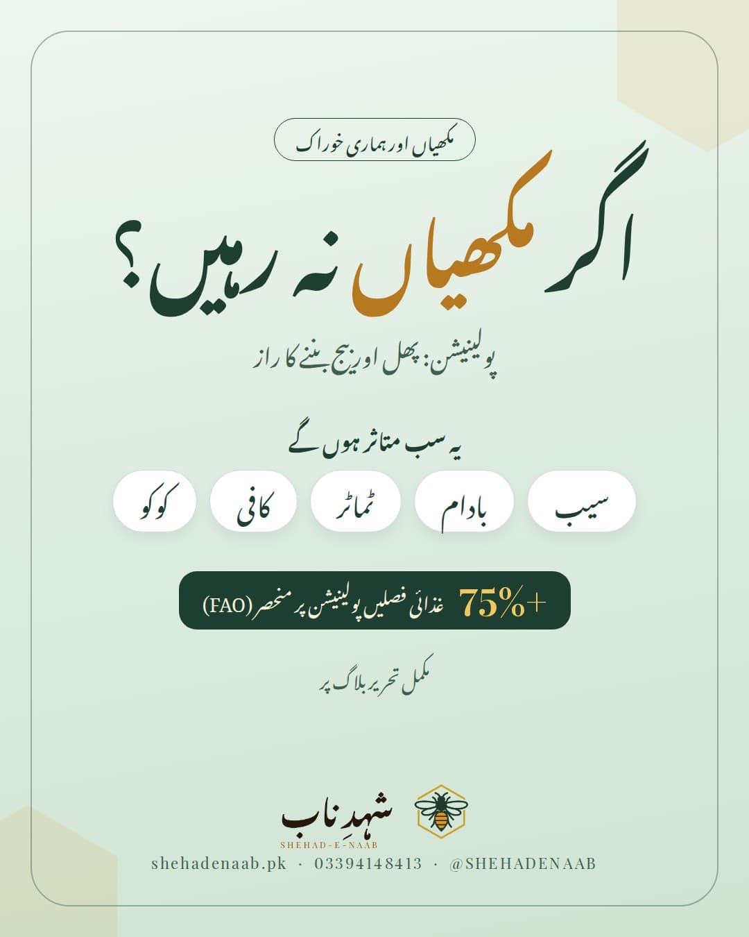 اگر شہد کی مکھیاں نہ رہیں تو؟ سیب، بادام، ٹماٹر، کافی اور کوکو جیسی غذائیں پولینیشن پر انحصار کرتی ہیں