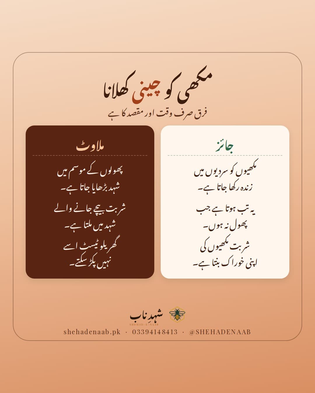 مکھیوں کو چینی کا شربت کھلانا: سردیوں میں مکھیوں کو زندہ رکھنے کے لیے جائز، مگر پھولوں کے موسم میں شہد بڑھانے کے لیے یہ ملاوٹ ہے