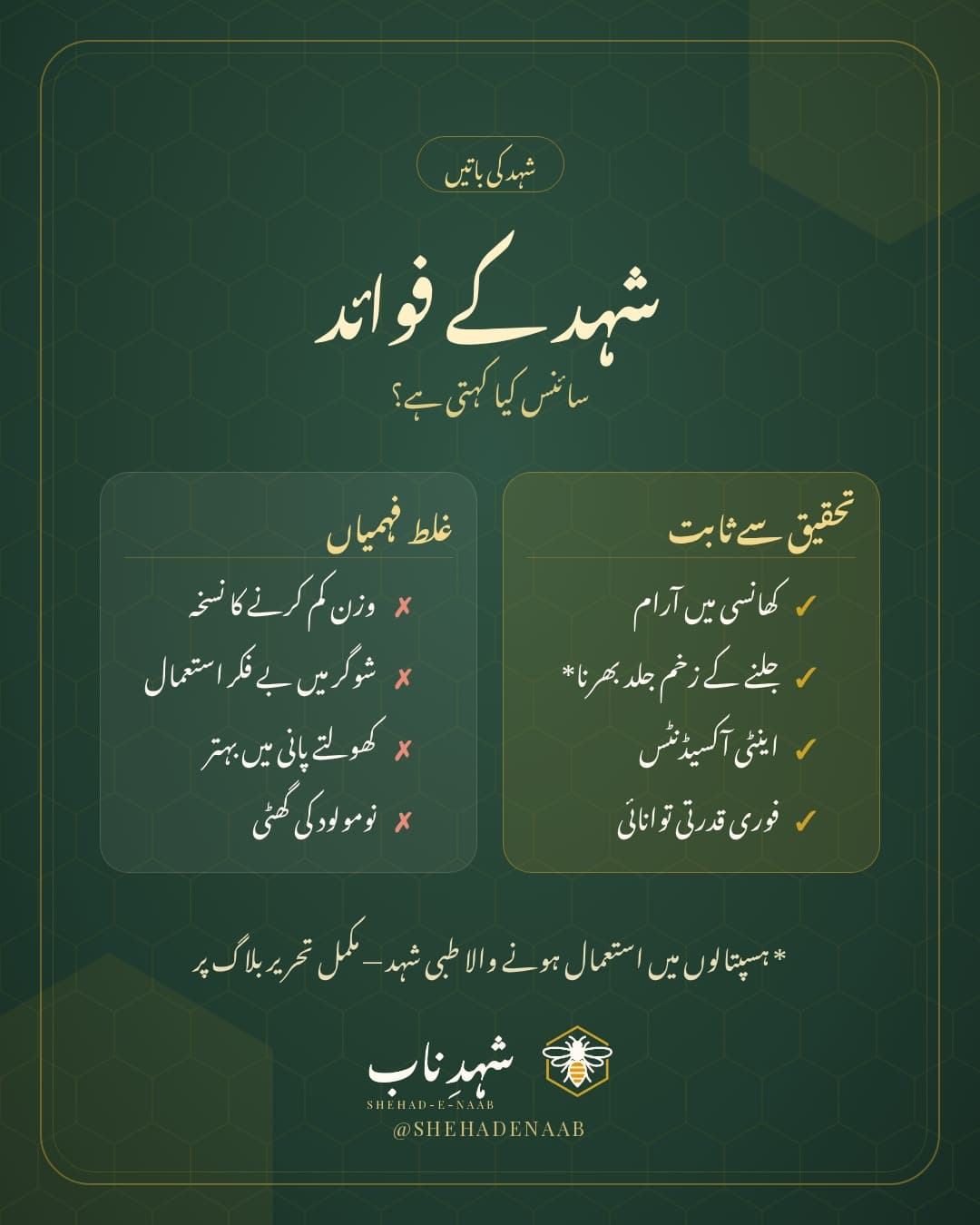 شہد کے فوائد: تحقیق سے ثابت فوائد اور عام غلط فہمیوں کا موازنہ، شہدِ ناب کے سبز اور سنہری ڈیزائن میں