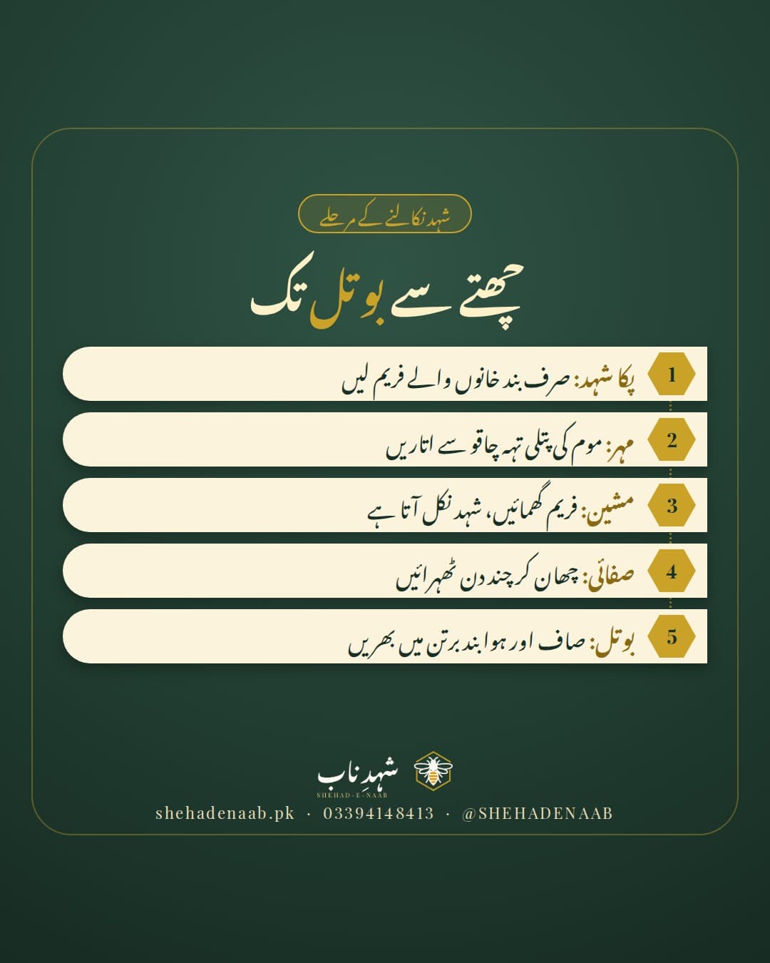 گہرے سبز پس منظر پر عنوان «چھتے سے بوتل تک»، اور نیچے کریم رنگ کی پانچ پٹیوں پر شہد نکالنے کے مرحلے: صرف بند خانوں والے فریم لیں، موم کی مہر چاقو سے اتاریں، فریم مشین میں گھمائیں، شہد چھان کر چند دن ٹھہرائیں، اور ہوا بند برتن میں بھریں۔