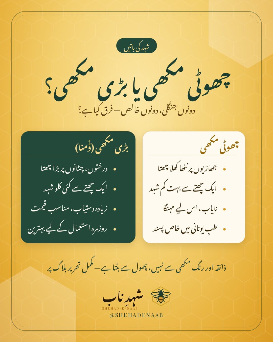 چھوٹی مکھی اور بڑی مکھی (ڈُمنا) کے شہد کا موازنہ: چھتا، شہد کی مقدار، دستیابی اور استعمال، شہدِ ناب کے سبز اور سنہری ڈیزائن میں