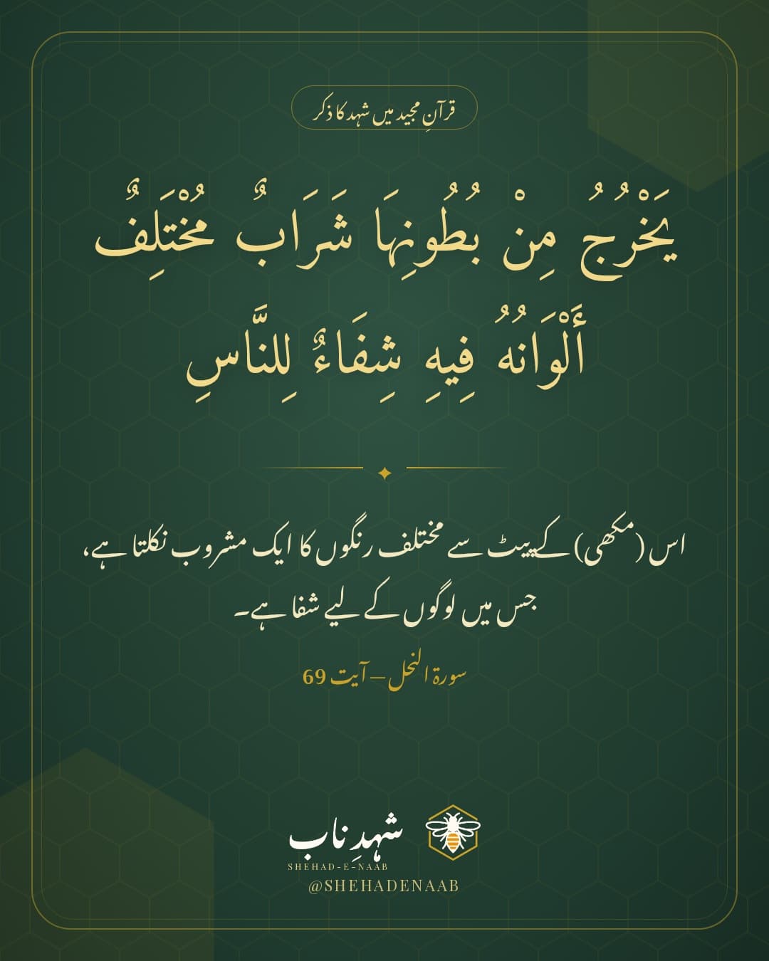 سورۃ النحل کی آیت 69 اور اس کا اردو ترجمہ، شہدِ ناب کے سبز اور سنہرے ڈیزائن میں