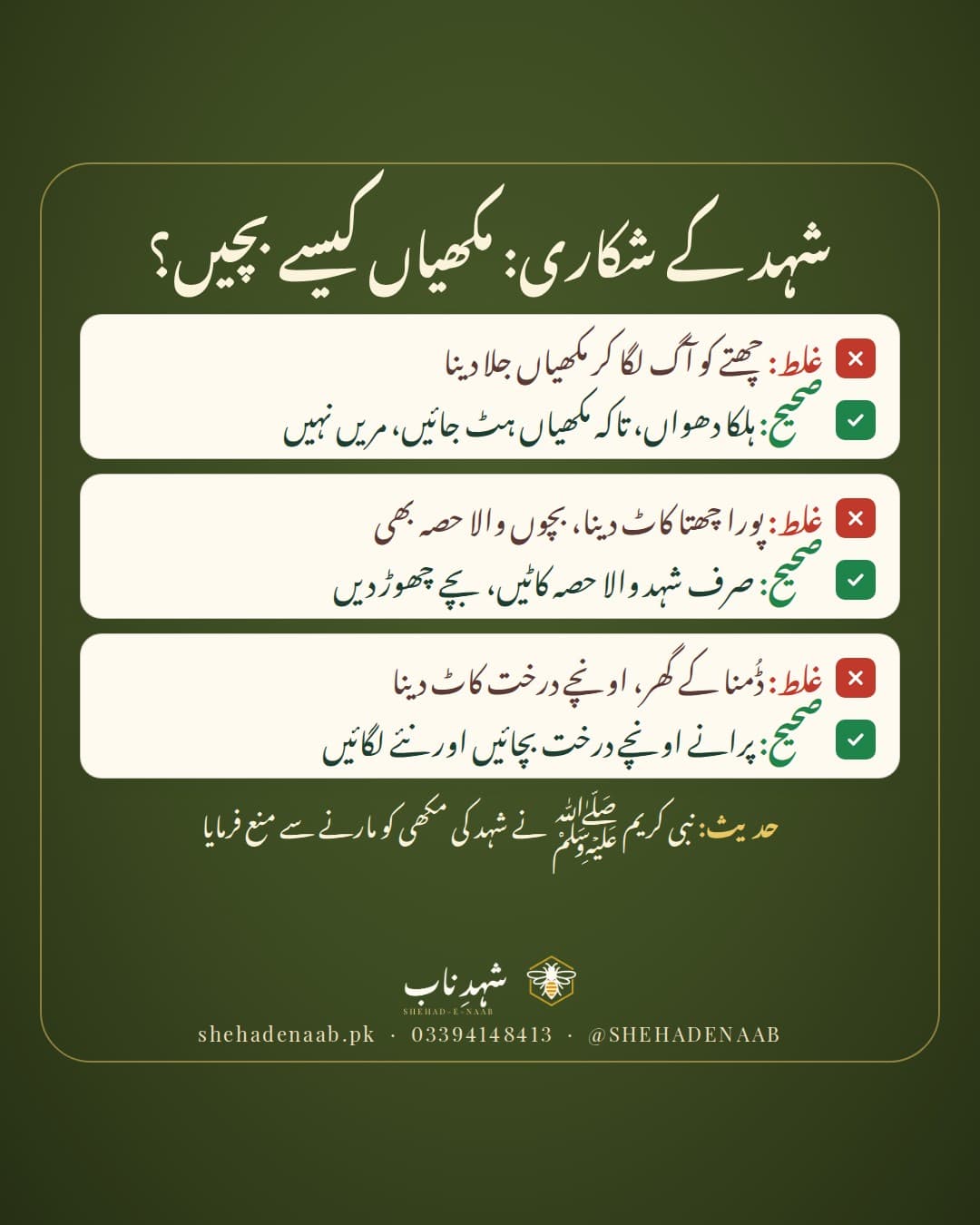 جنگلی چھتے سے شہد اتارنے کے غلط اور صحیح طریقے: آگ کی بجائے ہلکا دھواں، پورے چھتے کی بجائے صرف شہد والا حصہ، اور اونچے درختوں کی حفاظت