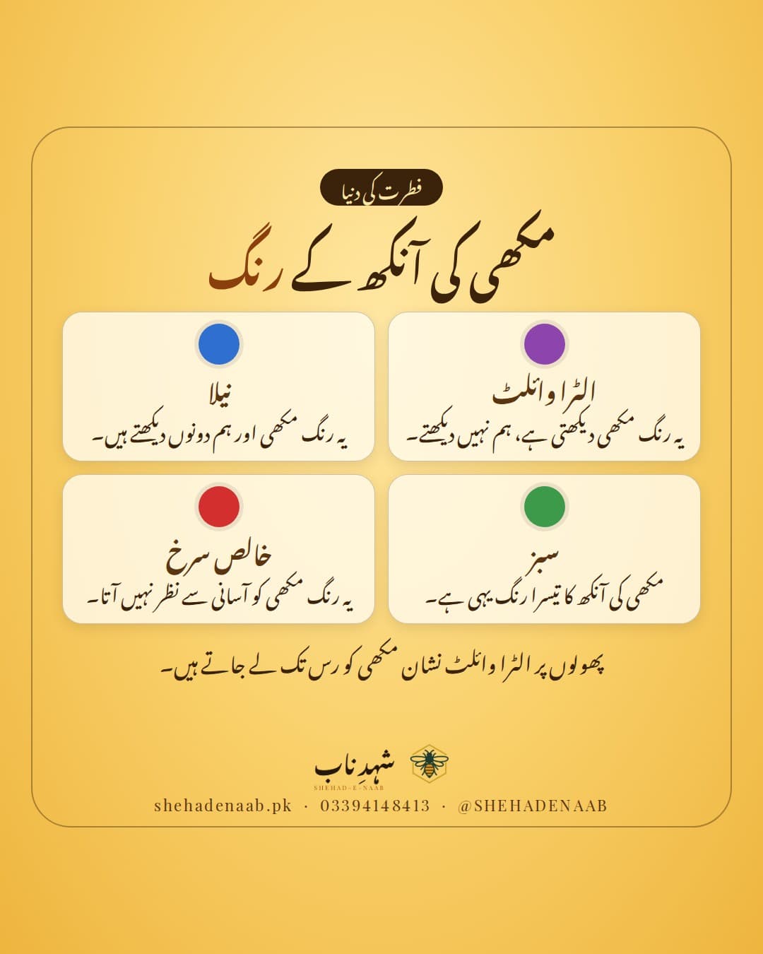شہد کی مکھی کی آنکھ کے رنگ: الٹرا وائلٹ، نیلا اور سبز، جبکہ خالص سرخ رنگ مکھی کو آسانی سے نظر نہیں آتا، چار رنگین دائروں والے کارڈ