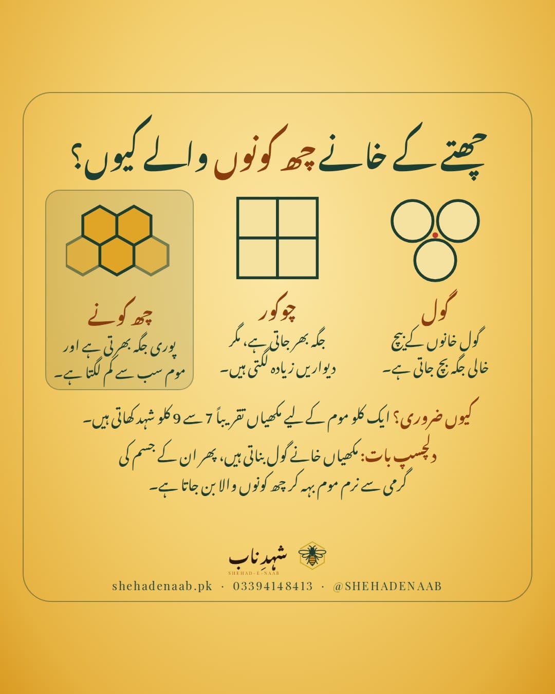 سنہرے پس منظر پر عنوان «چھتے کے خانے چھ کونوں والے کیوں؟» اور تین شکلیں: گول خانے جن کے بیچ خالی جگہ ہے، چوکور خانے جن میں دیواریں زیادہ ہیں، اور چھ کونوں والے خانے جو جگہ بھی بھرتے ہیں اور موم بھی کم لیتے ہیں۔ نیچے لکھا ہے کہ ایک کلو موم کے لیے مکھیاں تقریباً 7 سے 9 کلو شہد کھاتی ہیں۔