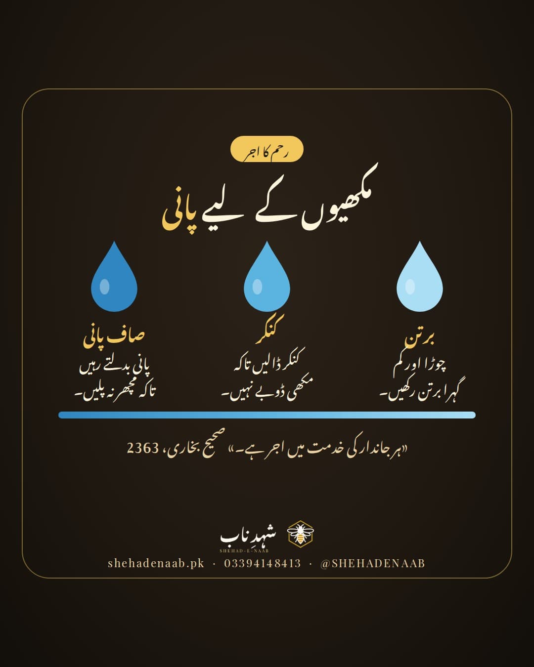 مکھیوں کے لیے پانی رکھنے کے تین آسان کام: کم گہرا برتن، اس میں کنکر تاکہ مکھی ڈوبے نہیں، اور پانی بدلتے رہنا، ساتھ حدیث کہ ہر جاندار کی خدمت میں اجر ہے