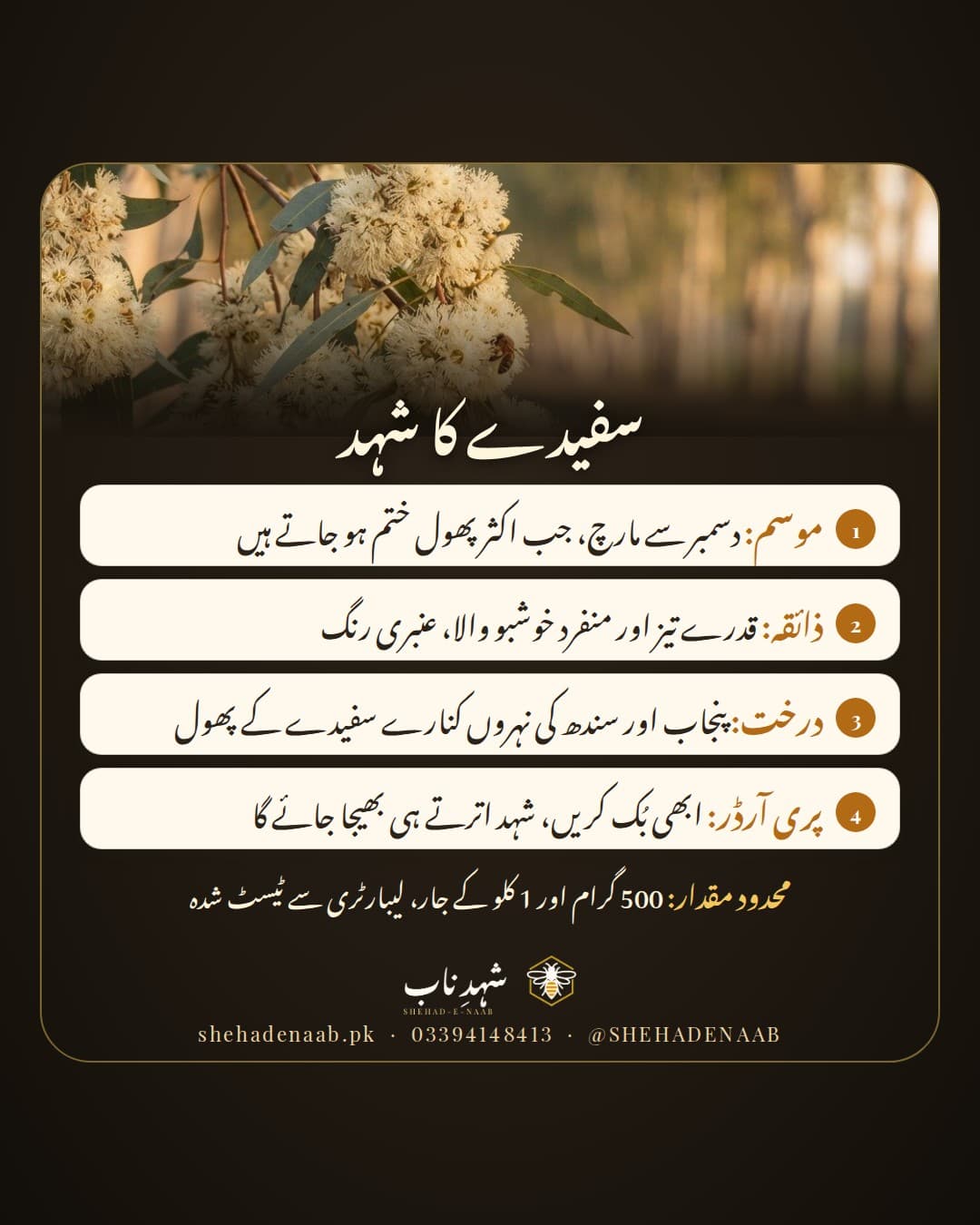 نہر کنارے سفیدے کے درخت کے روئی جیسے سفید پھولوں پر شہد کی مکھی، ساتھ سفیدے کے شہد کا تعارف: موسم دسمبر تا مارچ، قدرے تیز ذائقہ، پری آرڈر