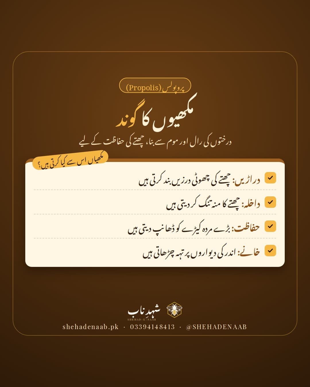 گہرے بھورے پس منظر پر عنوان «پروپولس: مکھیوں کا گوند»، اور ایک کریم رنگ کی شیٹ پر چار نشان زدہ باتیں کہ مکھیاں اس گوند سے چھتے کی دراڑیں بند کرتی ہیں، داخلے کا راستہ تنگ کرتی ہیں، بڑے مردہ کیڑوں کو ڈھانپ دیتی ہیں اور خانوں کو مضبوط کرتی ہیں۔