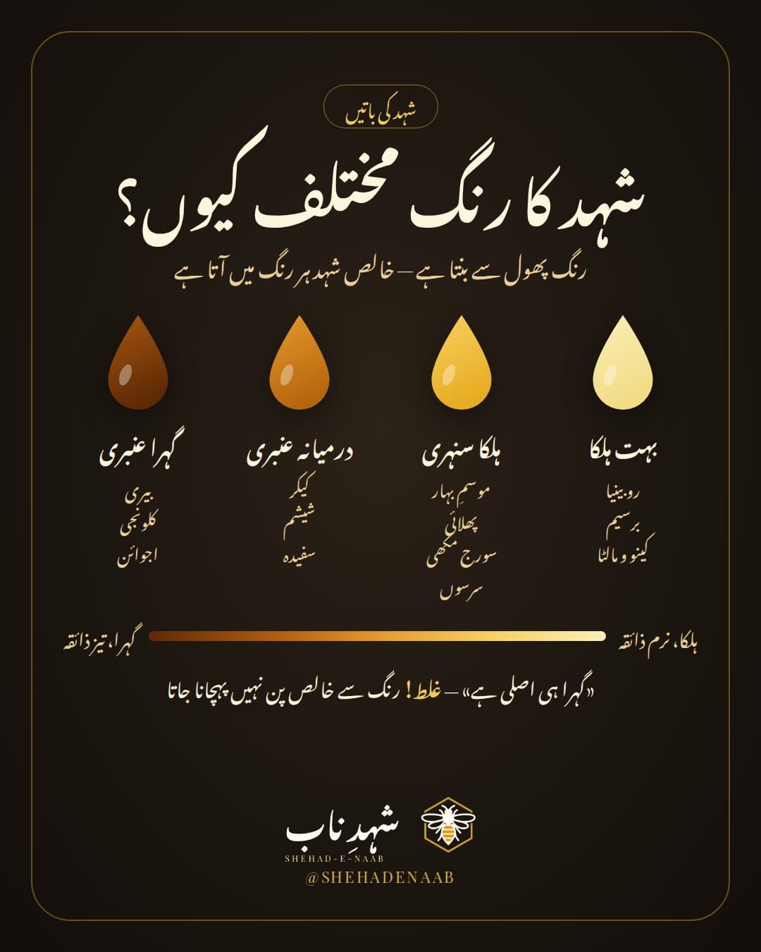 شہد کے رنگ ہلکے سے گہرے تک: بہت ہلکا، ہلکا سنہری، درمیانہ عنبری اور گہرا عنبری شہد، ہر رنگ کے نیچے پاکستانی شہد کی اقسام کے نام