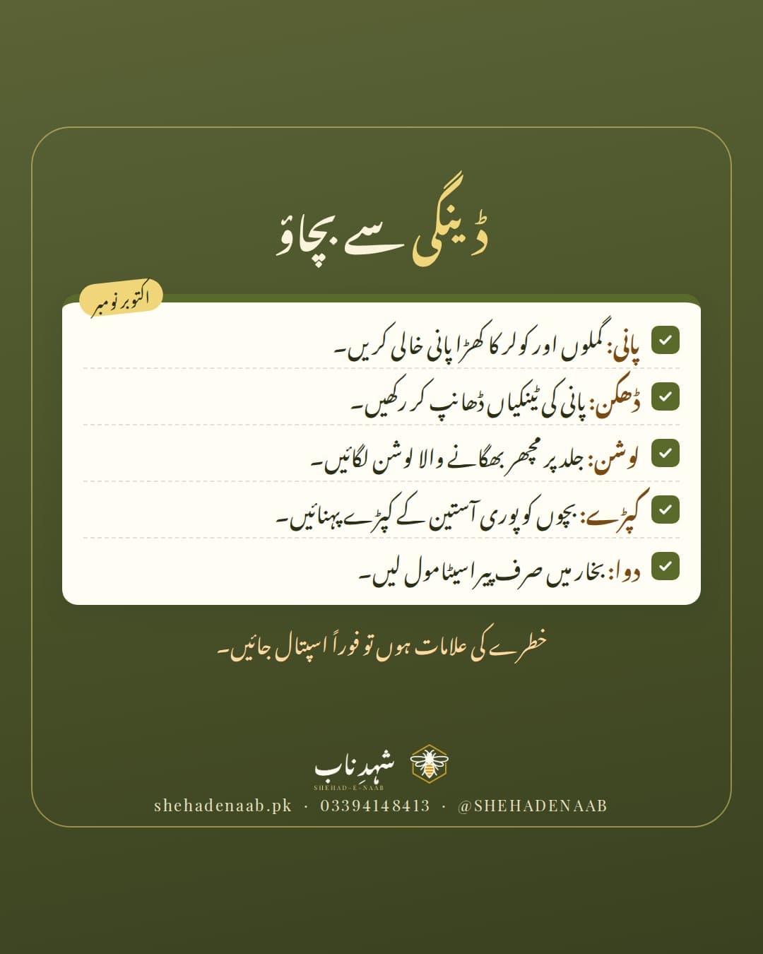 ڈینگی سے بچاؤ کی چیک لسٹ: کھڑا پانی ختم کریں، ٹینکیاں ڈھانپیں، مچھر بھگانے والا لوشن لگائیں، پورے کپڑے پہنیں، اور بخار میں صرف پیراسیٹامول لیں