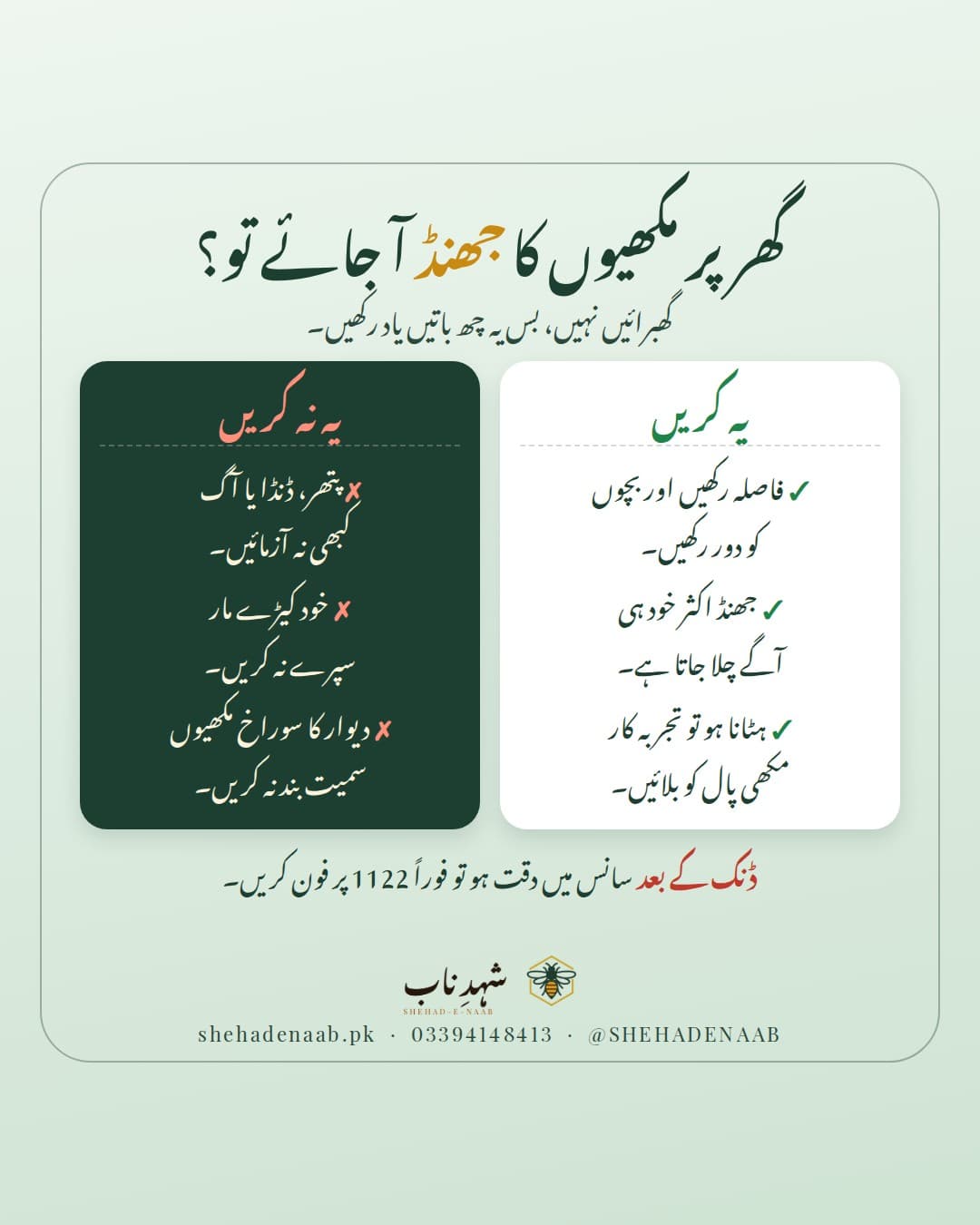 ہلکے سبز پس منظر پر عنوان «گھر پر مکھیوں کا جھنڈ آ جائے تو؟» اور دو کالم: سفید کالم «یہ کریں» میں فاصلہ رکھنا، جھنڈ کا خود چلے جانا اور مکھی پال کو بلانا، گہرے سبز کالم «یہ نہ کریں» میں پتھر یا آگ، کیڑے مار سپرے اور مکھیوں سمیت سوراخ بند کرنے سے منع، نیچے 1122 پر فون کرنے کی ہدایت۔