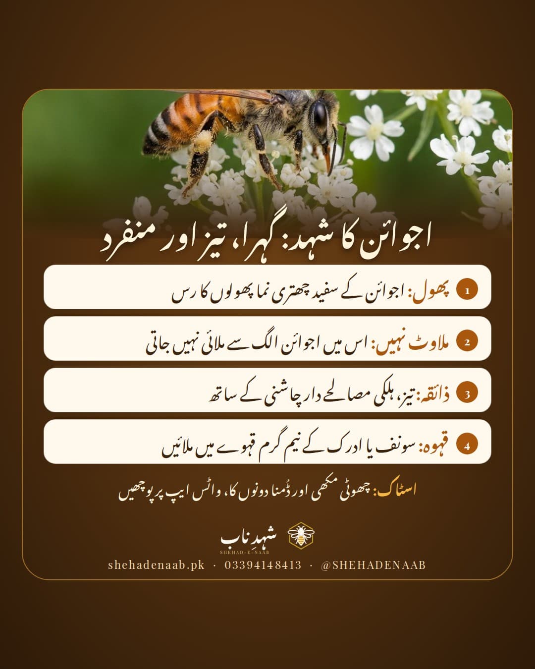 اجوائن کے سفید چھتری نما پھولوں پر شہد کی مکھی، ساتھ اجوائن کے شہد کا تعارف: گہرا عنبری رنگ، تیز ذائقہ، سردیوں کے اختتام کا موسم