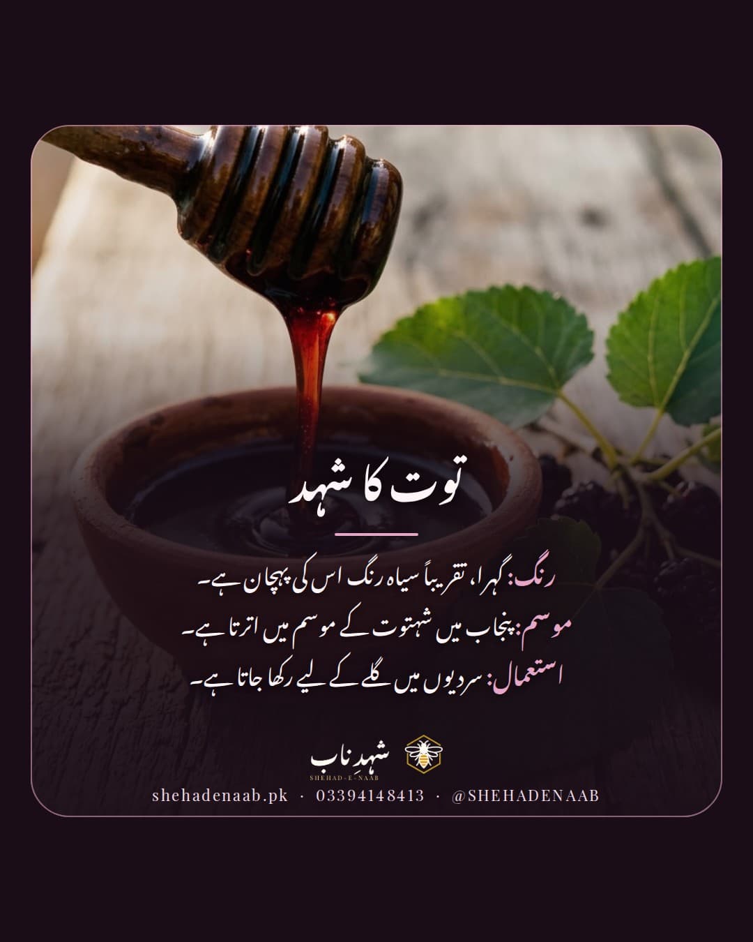لکڑی کے چمچ سے گرتا گہرا، تقریباً سیاہ توت کا شہد، ساتھ تعارف: پنجاب میں شہتوت کے موسم کا جنگلی شہد جو سردیوں میں گلے کے لیے رکھا جاتا ہے