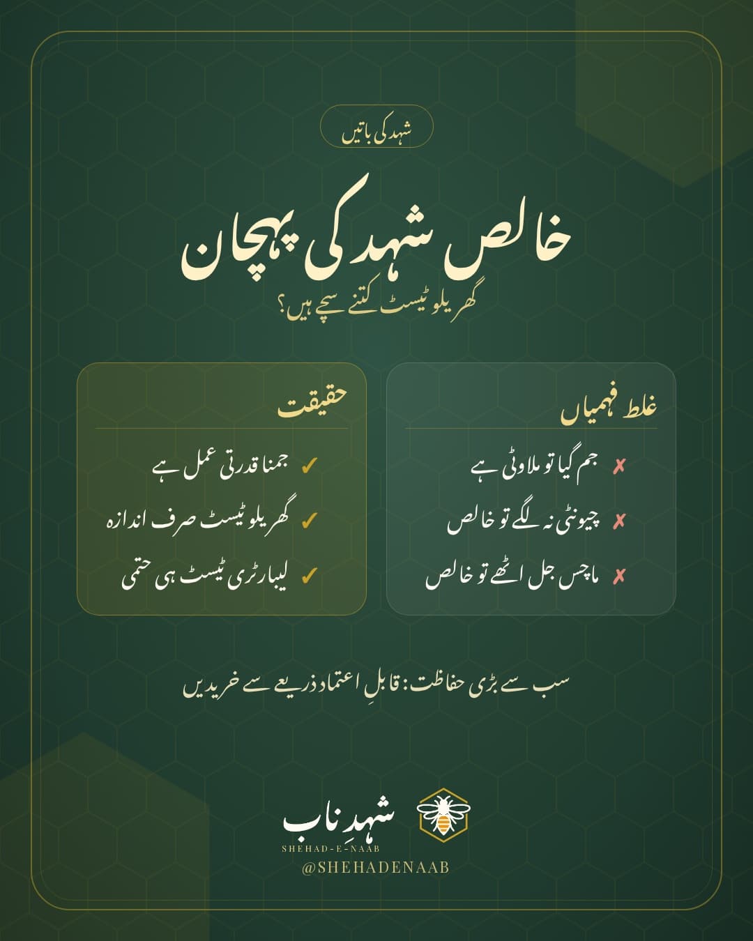 خالص شہد کی پہچان: غلط فہمیاں اور حقیقت، شہدِ ناب کے سبز اور سنہرے ڈیزائن میں